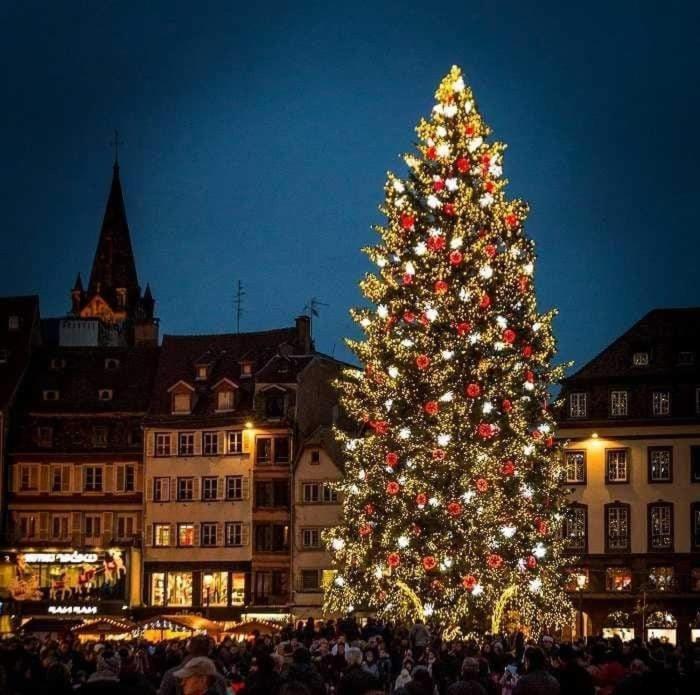 Gites Spa Strasbourg - La Villa 14 Furdenheim Екстериор снимка